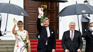 Bundespr&auml;sident Steinmeier zu Staatsbesuch in den Niederlanden