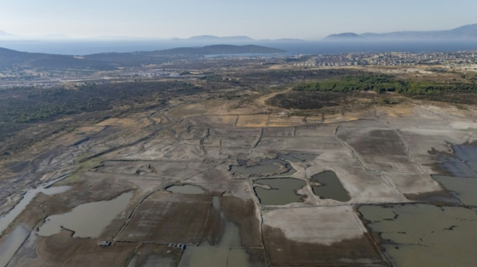 M&aacute;s de la mitad de Europa y del Mediterr&aacute;neo afectados desde abril por la sequ&iacute;a