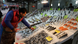La inflaci&oacute;n en Turqu&iacute;a roza el 50%, la m&aacute;s alta en 20 a&ntilde;os