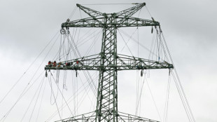 Los pa&iacute;ses de la Uni&oacute;n Europea alcanzan un acuerdo sobre la reforma del mercado de electricidad