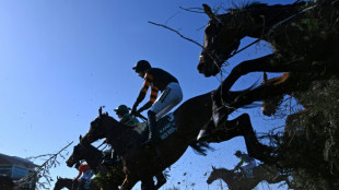 Reigning champion Nick Rockett out of Grand National