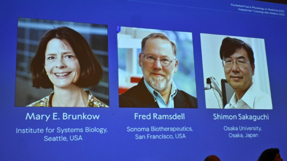 Medizin-Nobelpreis für drei Immunforscher aus den USA und Japan