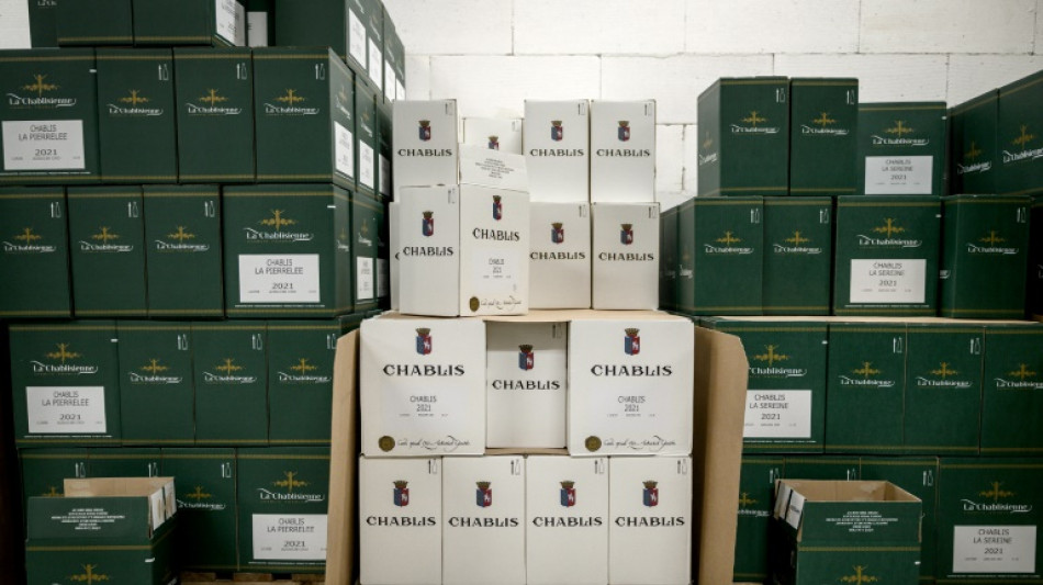 La UE presenta un paquete de medidas en respaldo al sector vin&iacute;cola