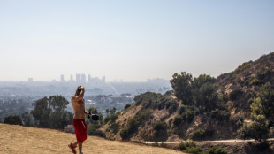 Banheiro público de quase US$ 1 milhão é alvo de críticas em Los Angeles