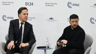 Rutte agli alleati, 'non date aiuti militari a Kiev fuori da Purl'