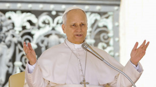 Il Papa, 'accolgo con soddisfazione l'annuncio della tregua'