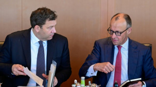 &Ouml;konomen bezweifeln Reformwillen der Regierung - CSU sieht zeitlichen Puffer