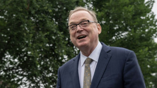 Trump advisor says US may take stakes in other firms after Intel