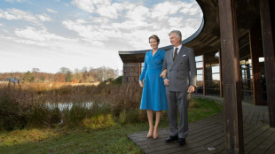 Belgischer K&ouml;nig Philippe reist im M&auml;rz erstmals in Demokratische Republik Kongo