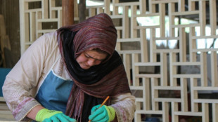 Dans une vallée pakistanaise, la petite révolution des travailleuses