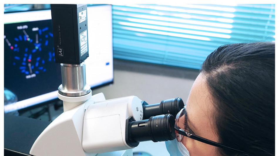 Svelata l'architettura delle metastasi, &egrave; la stessa dell'embrione