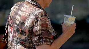 Austria, Slovakia hit new temperature records