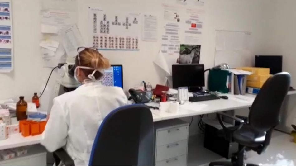 L'et&agrave; cambia il modo con cui l'organismo combatte le infezioni