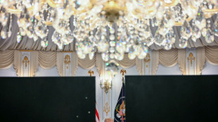 Dans le Tennessee, une &eacute;lection sous tension pour le parti de Trump