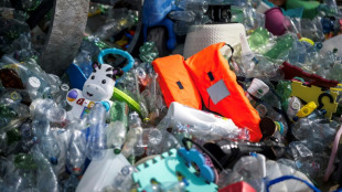 A Genève, la planète au chevet de la pollution plastique