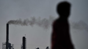 Bankitalia, aziende inquinanti a maggior rischio di default