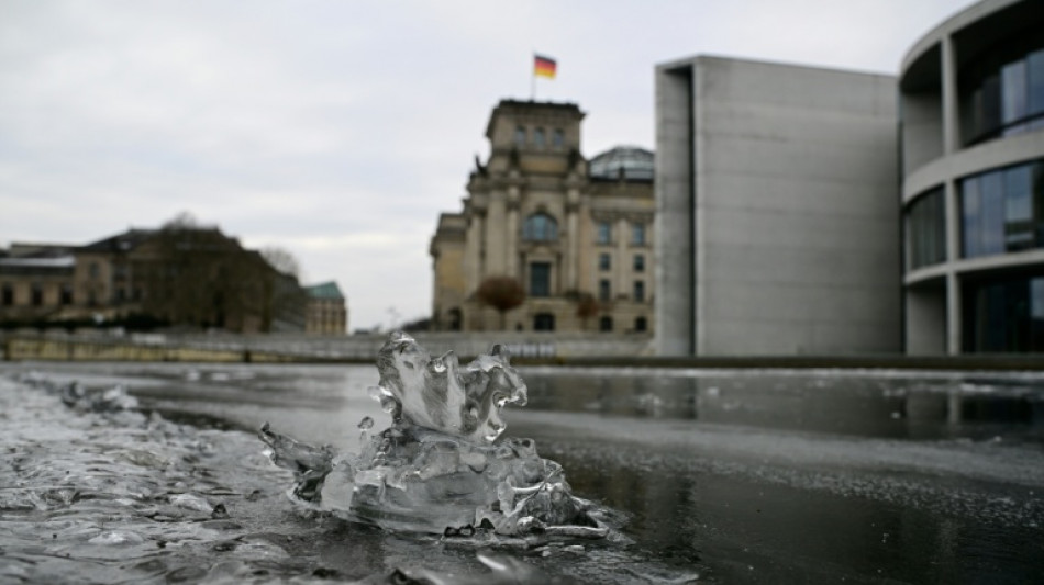 AfD-Fraktion scheitert in Karlsruhe mit Klage auf Zuteilung von "Otto-Wels-Saal"