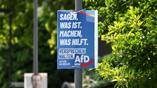 AfD auch im ZDF-"Politbarometer" auf Höchstwert - Union aber weiter auf Platz eins