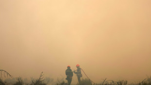 Les intoxications aux fum&eacute;es de feux de for&ecirc;t, angle mort de la protection des pompiers
