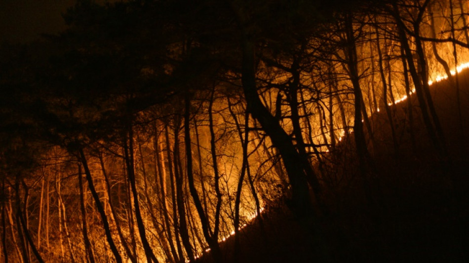 Coreia do Sul luta contra incêndios mais letais da história do país