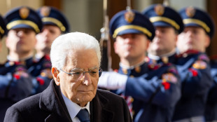 Mattarella, da Paesi non belligeranti contributi importanti alla Nato