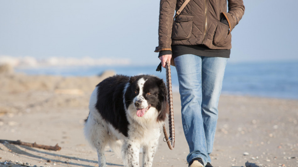 In Italia 65 milioni di animali domestici, ma meno di 1 su 2 &egrave; vaccinato regolarmente