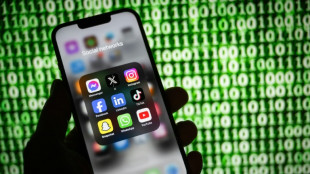 Jeunes et r&eacute;seaux sociaux : l&rsquo;interdiction fait d&eacute;bat chez les chercheurs