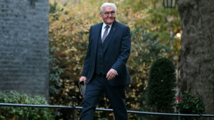 Bundesweiter "Ehrentag" f&uuml;r ziviles Engagement - Anregung von Steinmeier
