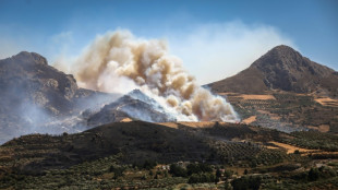 New blazes in Greece as strong winds hamper firefighting