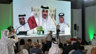 Arabische und muslimische Staaten fordern "Überprüfung" von Beziehungen zu Israel