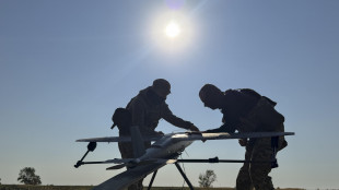 Kiev, 'colpite postazioni russe nel Donetsk e a Zaporizhzhia'