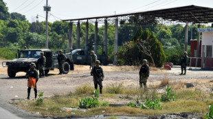 El aguacate mexicano, reh&eacute;n de la violencia narco que arrecia en Michoac&aacute;n