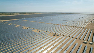 Estudio prev&eacute; que emisiones de China caigan en 2024 por subida de renovables