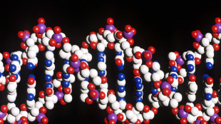 L'invecchiamento molecolare &egrave; influenzato sia dal Dna che dall'ambiente