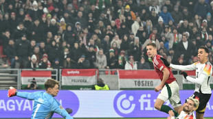 N&uuml;bel steht gegen Ghana im Tor