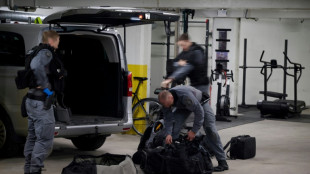 Islandia, tierra de la novela polic&iacute;aca, en alerta ante la creciente violencia