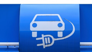 Kaufpr&auml;mie sorgt f&uuml;r kr&auml;ftigen Anstieg der E-Auto-Neuzulassungen