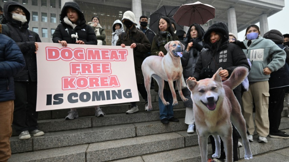El Parlamento de Corea del Sur proh&iacute;be el comercio de la carne de perro