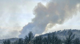 Un incendio en el sur de Francia arrasa 11.000 hect&aacute;reas y deja una mujer muerta