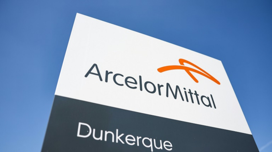 Le gouvernement et ArcelorMittal align&eacute;s contre le projet de nationalisation