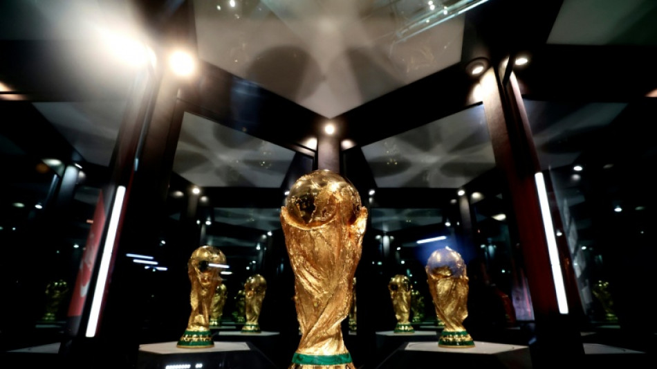 Fu&szlig;ball-WM: Brauereien rechnen nicht mit Bier-Boom - Adidas erwartet Absatzrekord