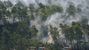 Dans l'Aude, météo favorable pour les pompiers qui luttent encore contre le feu