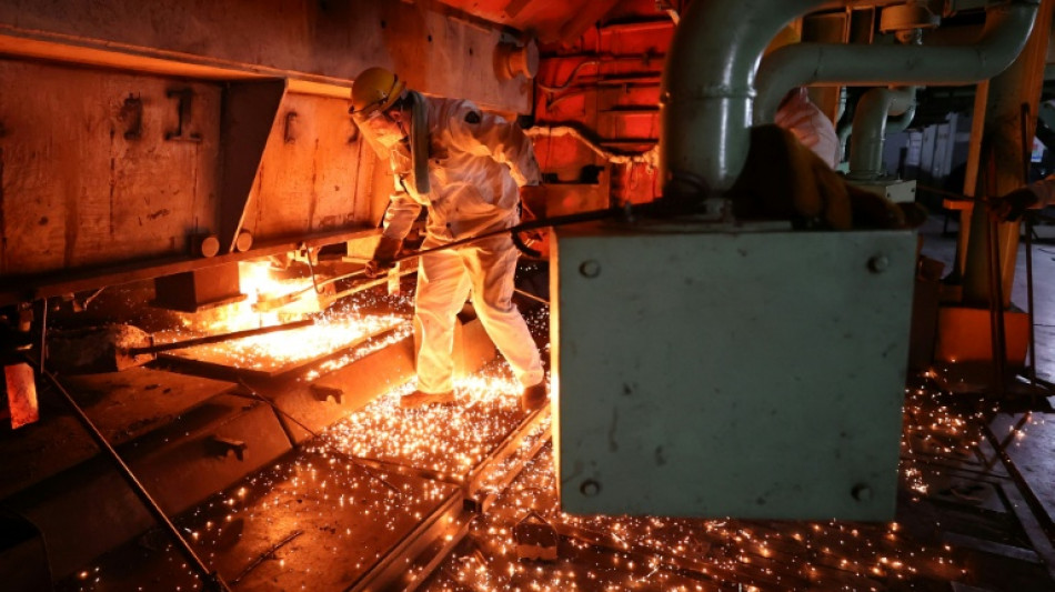 OECD: Subventionen "unterminieren" fairen Wettbewerb im Stahlsektor 