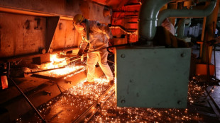 OECD: Subventionen "unterminieren" fairen Wettbewerb im Stahlsektor 