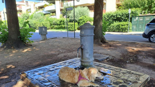 Investimenti nel settore idrico salgono, dopo il Pnrr servono contributi pubblici