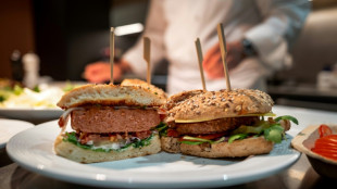 'Veggie burgers' face grilling in EU parliament