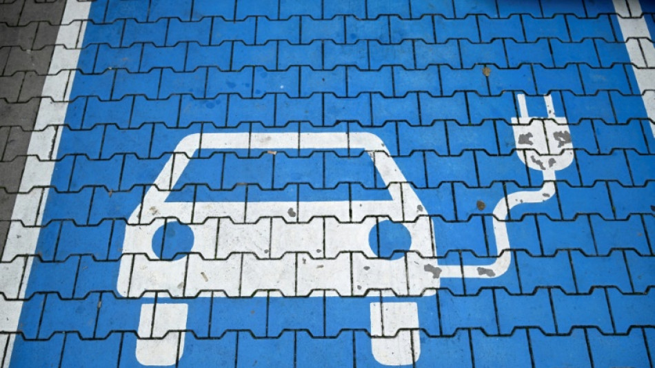 Bundesumweltminister stellt neues F&ouml;rderprogramm f&uuml;r E-Autos vor