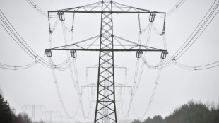 Gr&uuml;nes Licht f&uuml;r Strompreissubvention f&uuml;r energieintensive Industrie