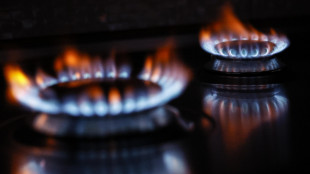 Il gas chiude in rialzo ad Amsterdam (+1,78%)