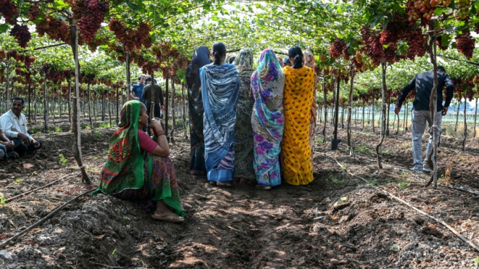 Struggling farmers find hope in India co-operative